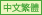 T-Chinese