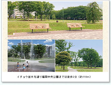 イチョウ並木を通り福岡中央公園までは徒歩2分（約110ｍ）