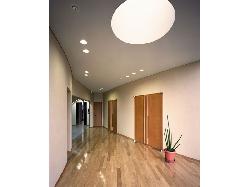 【西島　正樹】