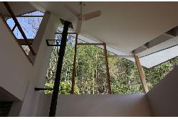 【西島　正樹】