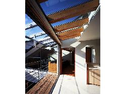 【西島　正樹】