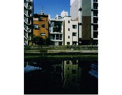 【西島　正樹】