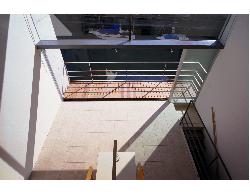 【西島　正樹】