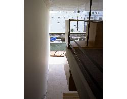 【西島　正樹】