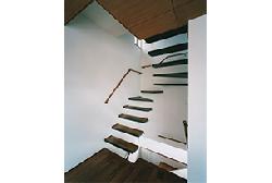 【西島　正樹】