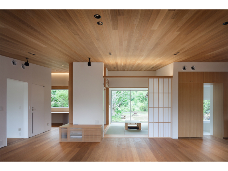 和室を介して北の庭を見ています