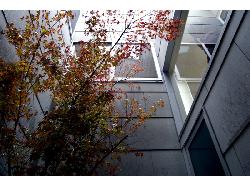 【眞野　サトル】