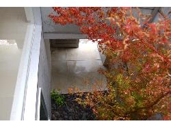 【眞野　サトル】