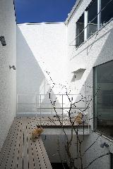 【猫と暮らす家】