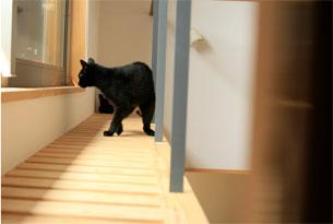 【竹内国美・竹内由美子】