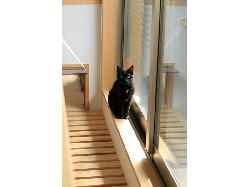 【竹内国美・竹内由美子】