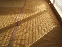 【竹内国美・竹内由美子】