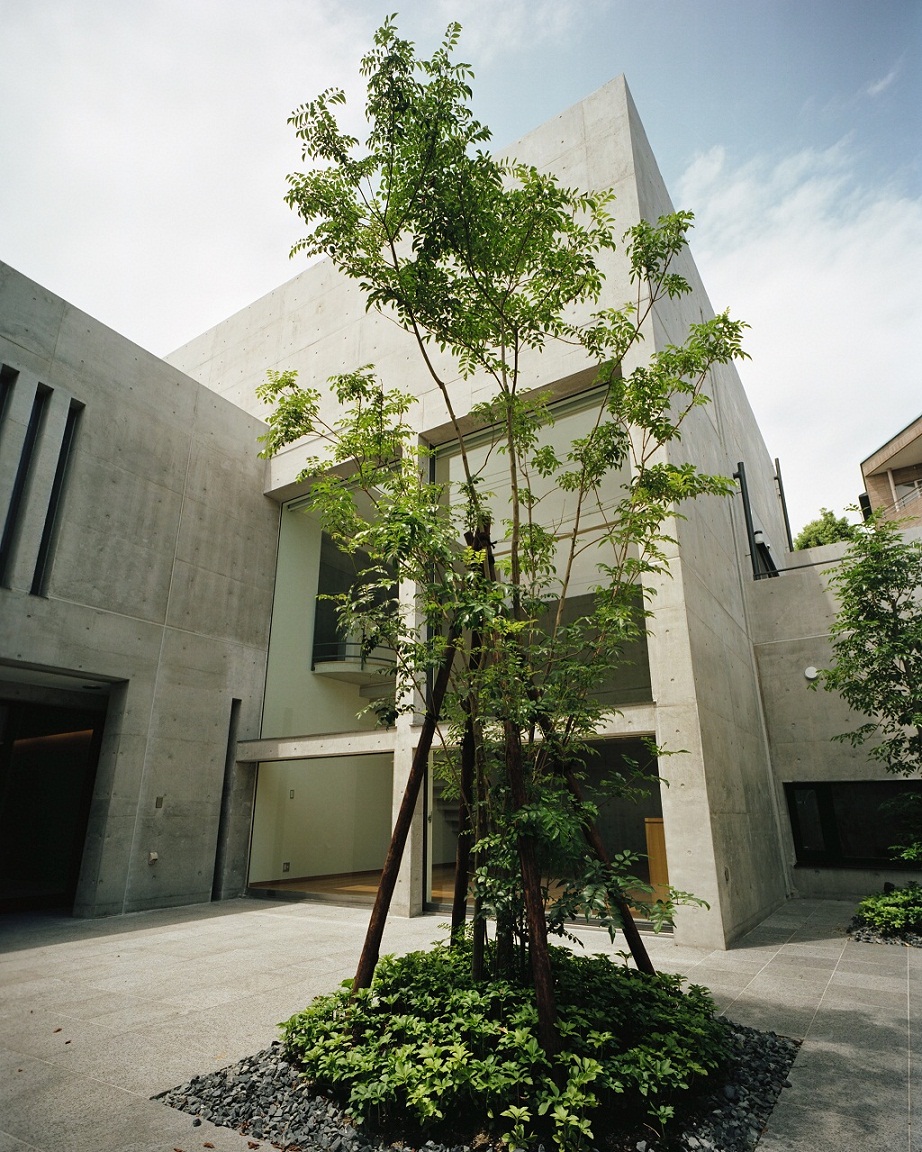 地下に埋め込まれた中庭