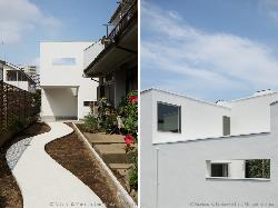 【谷口　智子】