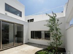 【谷口　智子】