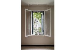 【谷口　智子】