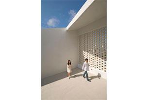 【「つぼみ」】