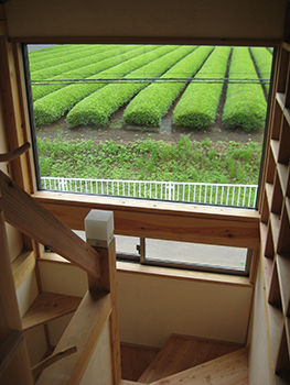 ２階に上がる階段の途中の窓からは西側の茶畑を眺められます。