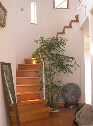 階段は玄関正面で床に埋め込んだの鉢植えの植木が印象的です