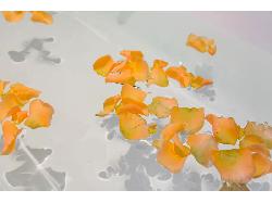 【京都ゲストハウス】