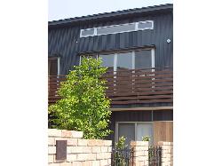 【相川直子＋佐藤勤】