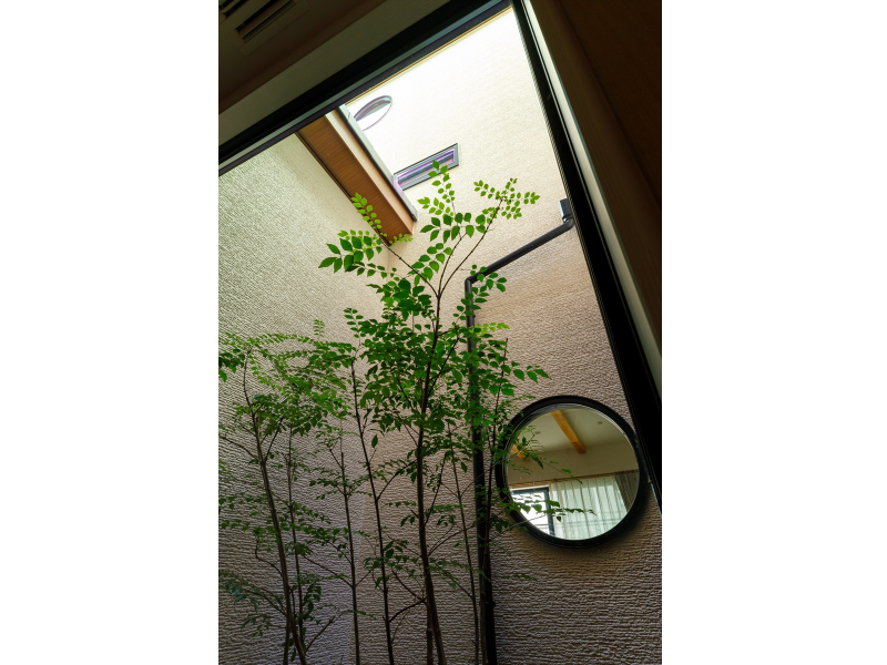 家の中心にある光庭。家のアチコチから眺めることができます