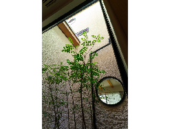 【ナイトウタカシ】