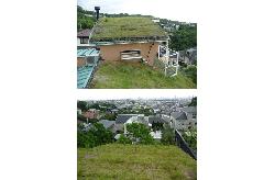 屋上緑化、そしてそこから見える風景！