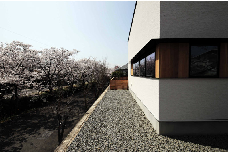 住宅街の桜並木を独り占めできるお家になっています。