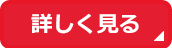 詳細を見る