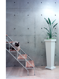 建築家による地下室のある家