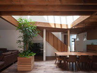 Umbrella（旗竿の家）