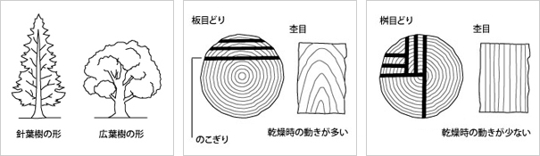 木の種類と挽き方