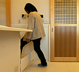 ドッグフェンス