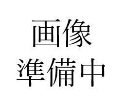 売土地　三口新町