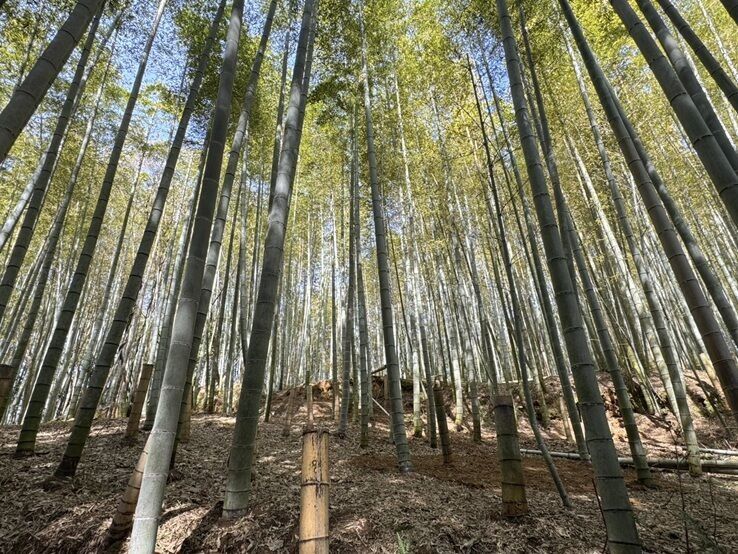 山城町北河原　売土地
