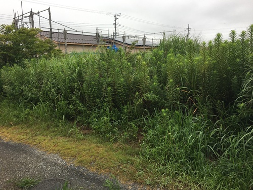 売地・大網白里市南横川