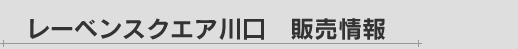 レーベンスクエア川口　販売情報