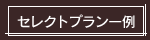 セレクトプラン一例