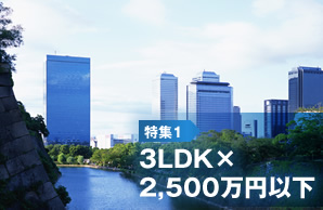 特集1 3LDK×2,500万円以下