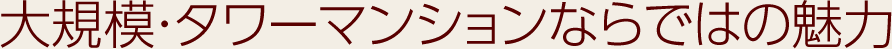 大規模・タワーマンションならではの魅力