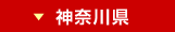 神奈川県