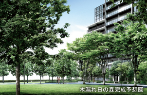 木洩れ日の森完成予想図