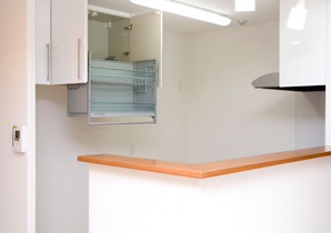 お手入れを考え、キャビネット部分と引き出し内がステンレスに