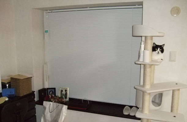 出窓のカウンター部分をダイノックシート張りに