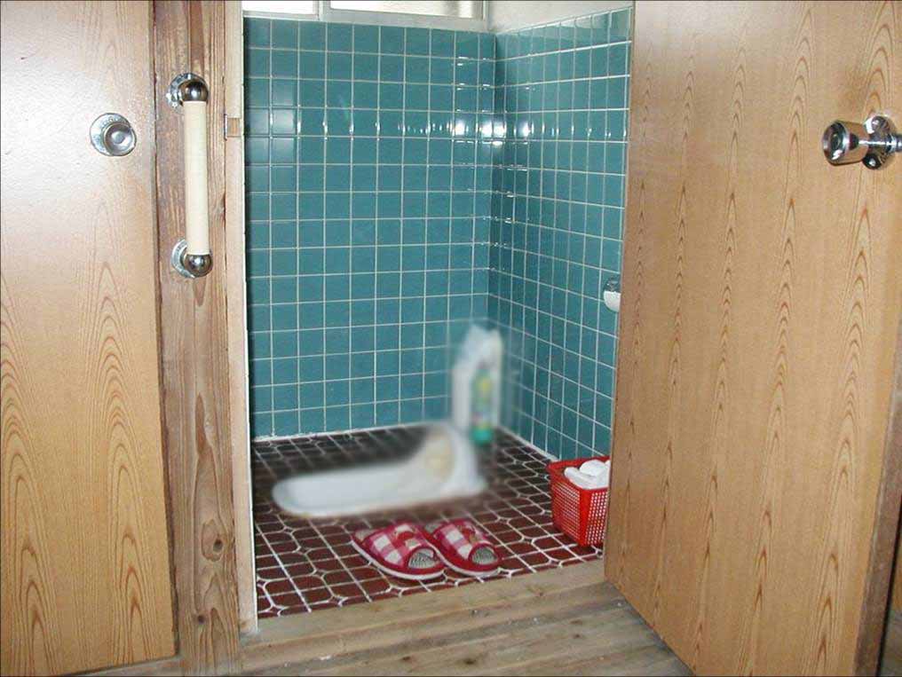 和式トイレの頃