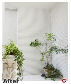 観葉植物の緑色も白い壁タイルとよく馴染んでいます。