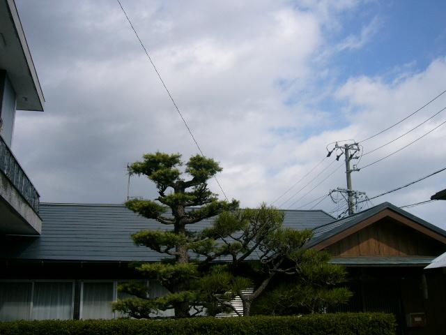 青空に映える美しい屋根