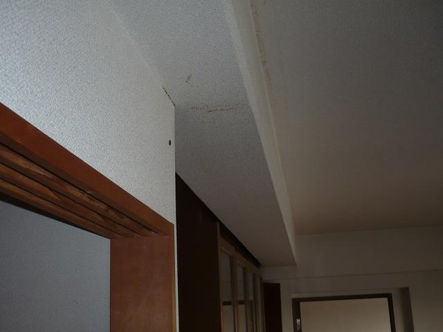 カビが発生し見た目にも健康的にも問題でした