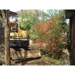 重機を使って掘削していきます。